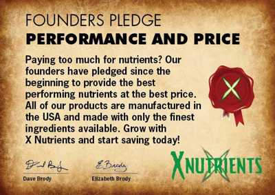 Pledge
