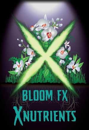 bloomfx_300.jpg