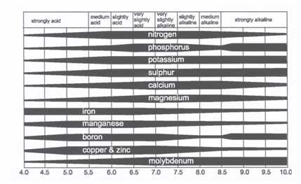 Ph Nutrient Absorption Chart